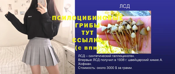 трава Аркадак