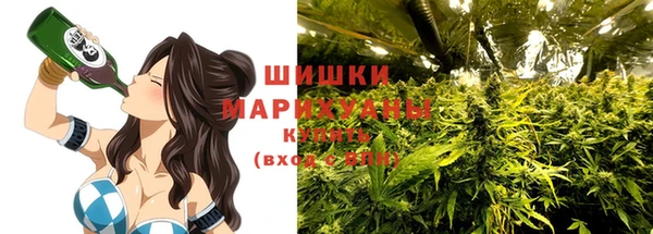 трава Аркадак