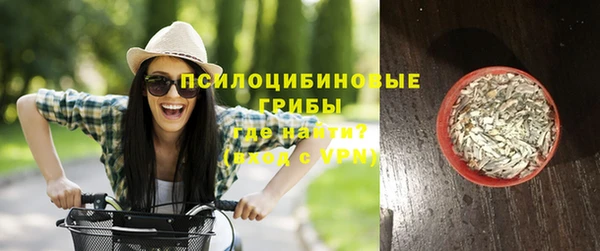 винт Армянск