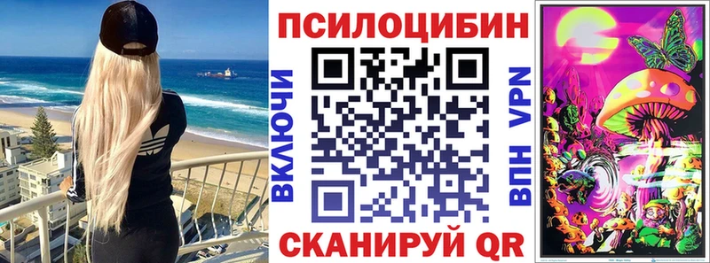Псилоцибиновые грибы Psilocybine cubensis  Каспийск 