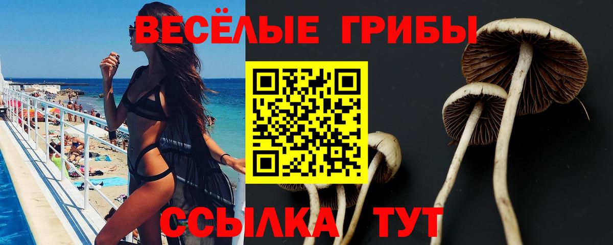 Псилоцибиновые грибы Psilocybine cubensis  Вход с VPN  Каспийск 