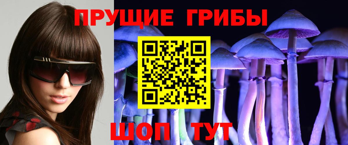 Псилоцибиновые грибы Magic Shrooms Каспийск